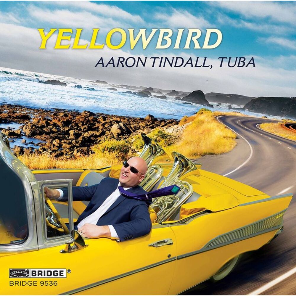 Aaron Tindall - Yellowbird  CD